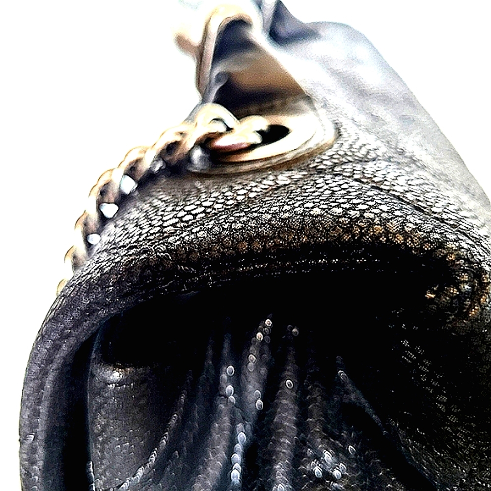 Chanel Iridescent Caviar Quilted Grain Classic Flap Two-Way Crossbody Bag - Picture 3 of 15